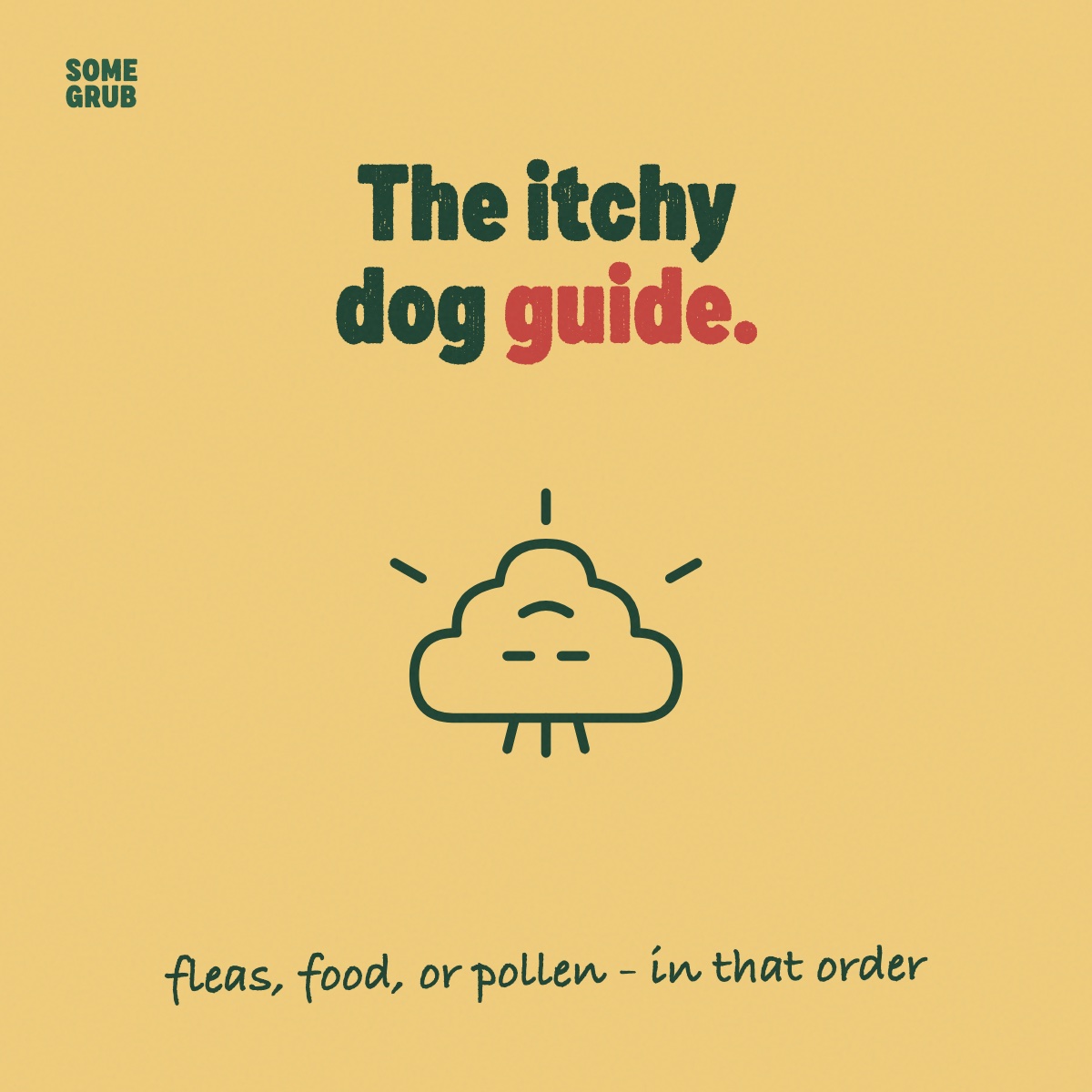 The Itchy Dog Guide